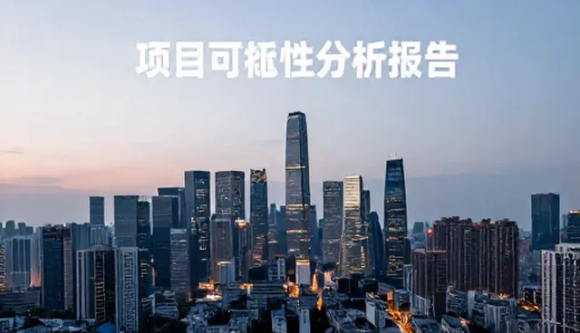 项目可行性分析报告:选型关注点对比与实际取舍