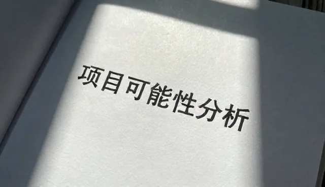 税务优化常见问题处理要点分析